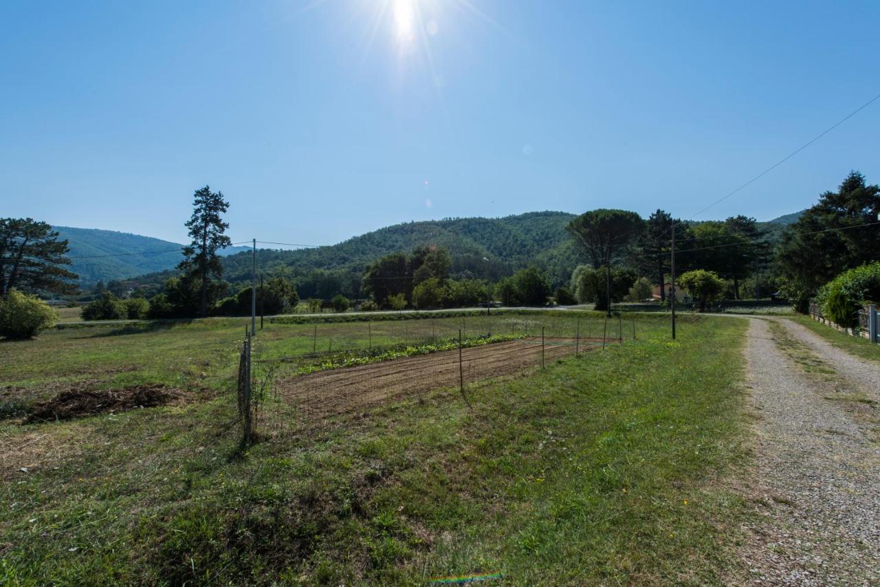 Appartamento Il Rifugio di Amelia Arezzo Esterno foto
